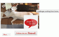 Pintermark WordPress Plugin