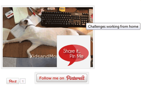 Pintermark WordPress Plugin
