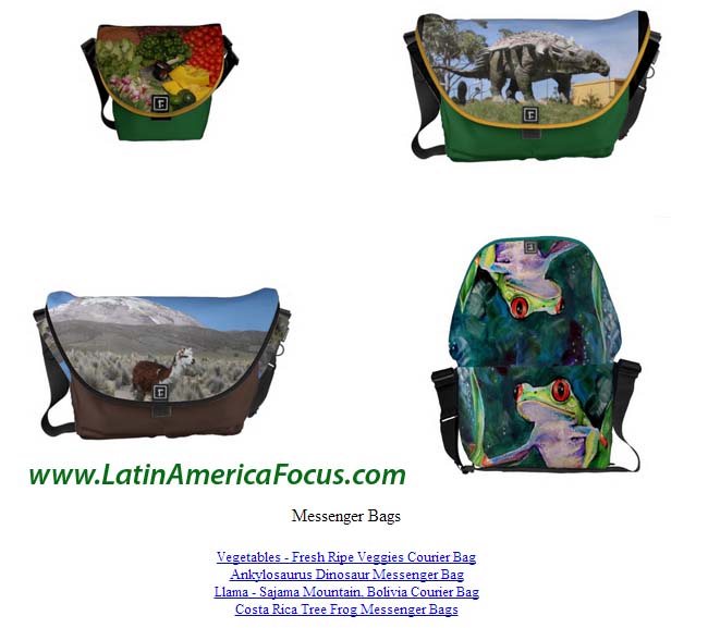South America Handbags