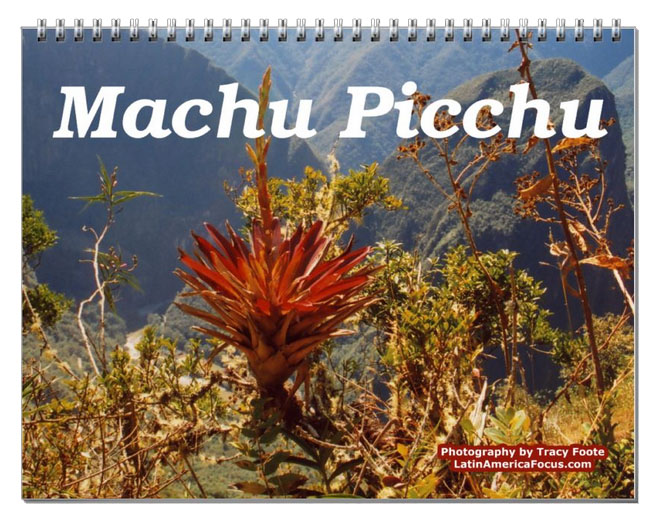 2024 Flower Calendar – Peru Nature Calendar